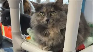 Giving all the love that we can give!