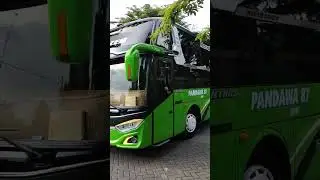 MEWAH! Bus Pandawa 87 Dream Coach Sleeper terbaru #shorts #huntingbus #pandawa87 #pandawa87trans
