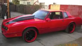 ACTIVE CREW BIG RED SS