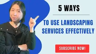 5 Ways to Use Landscaping Services Effectively to Create a Beautiful Garden