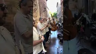Vora el niu - Obligada flabiol (Carla Mallarach) - Cobla Mediterr&agrave;nia