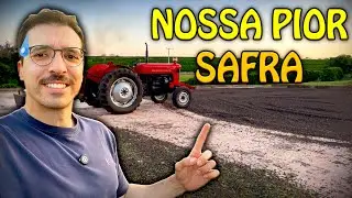 A COLHEITA DO CAFÉ DESSE ANO NÃO ESTÁ BOA? ENTENDA!