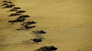 Short Guided Walking Mindfulness Meditation - Feel Peace Through Movement In 4 Minutes