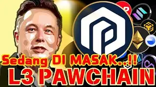 PAWCHAIN  ($PAW) 2025| HOLDER KUAT TUNGGU INI ... !!