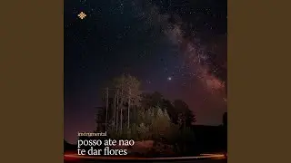 Posso Ate Nao Te Dar Flores (Instrumental)