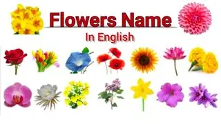 Flower Name In English / Learn English Vocabulary / Flower Name Learning For Kids