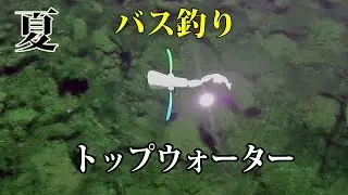 【8月】夏のトップは羽モノが効く？