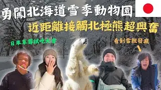 【北海道零下親子之旅】親子玩雪天堂設施多到玩不完！實測五大地區草莓評比，原來這裡最好吃！近距離觀賞雪地北極熊，全家超興奮！｜北海道Vlog#日本旅遊#TheNorthShowLand#圓山動物園
