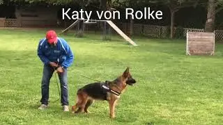Katy von Rolke