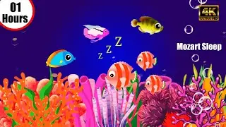 Bedtime Lullabies and Calming Undersea Animation Baby Lullaby #mozart lullaby #baby songs #lullaby