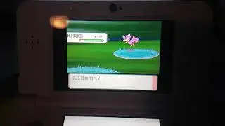 #1 (ISHC 2017) Shiny Murkrow in Pokemon Diamond after hunting 1 day!!!