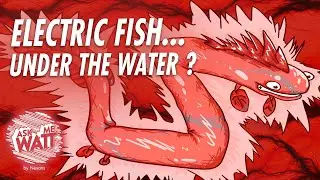 Electric fish... under the water? #AskMeWatt #6