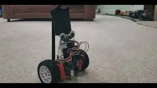 Remote Controlled Self-Balancing Robot (Uncut Stability Demo)