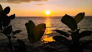 BACKGROUND VIDEO TIUPAN ANGIN SENJA NO COPYRIGHT