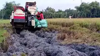 PANEN PADI DI LAHAN EXTRIM # BIMO102ss #alatmodern#pembantupetani