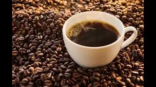 &iquest;De qu&eacute; depende la calidad del caf&eacute;? (Investigaci&oacute;n Especial)