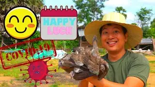 How to Create Inner Peace Mind and Good Luck During Covid-19 Pandemic| Free 12 Doves for Blessing