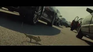Будь как все - смотри BeeTV бесплатно!