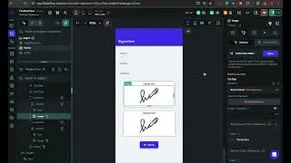 Flutterflow issue - handle multiple signature widget