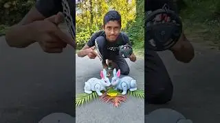 two remote control rabbit unboxing and review testing