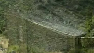 Las cabras del Morana en mOncayo