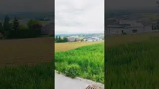 Perg Austria