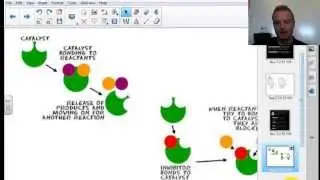 Controlling Reactions 1-3