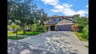 23320 DINHURST COURT | LAND O LAKES Real Estate