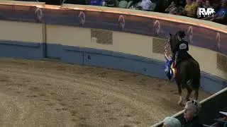2024- Morgan Grand National & World Championship- Heidi's Equitation Parade