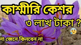 kashmiri kesar ৩ লাখ টাকা | কাশ্মীরের কেশর না বুঝে কিনবেন না | #kashmir #kesar #pahalgam