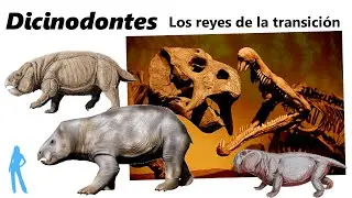 Dicinodontes. Descubre a los animales entre dos eras
