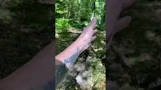 FELLING A TREE SO EXCITING  B9B4E02F 501D 41B8 A5F0 7E1872546A8F