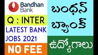 Bandhan Bank Recruitment 2021 in Telugu | Latest Bank Jobs Notification 2021 | Bandhan Bank Jobs
