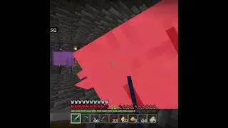 A ghast has spawned in my nether hub!!! - #minecraft #shorts