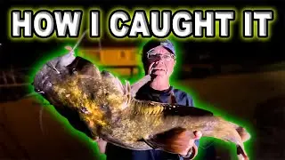 New Personal Best Flathead Catfish Bank Fishing