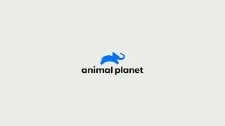 Animal Planet Global Rebrand 2D Animation