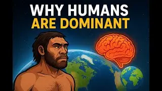 Why Humans Became Earth&rsquo;s Dominant Species 🌍
