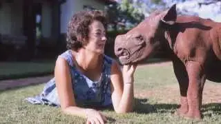Kristin Davis shares a message on Dame Daphne Sheldrick's 80th Birthday | Sheldrick Trust