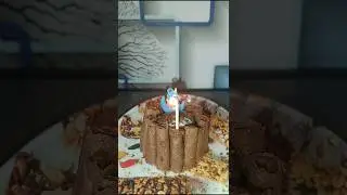 #miniature #minicooking #minicake #minicakedecorating