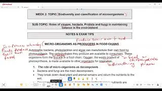 Life Sciences Grade 11 Roles of viruses, bacteria, Protista and fungi in maintaining balance