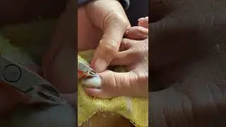 Cut Nails 22