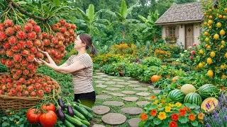 Harvesting Berries On A Small Farm To Sell, Traditional Cooking At Home | Peaceful Farm Day