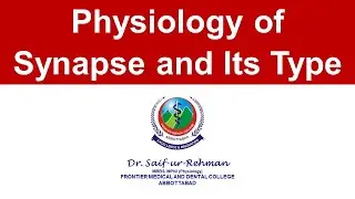 Physiology of Synapse and Its Type