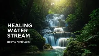 Gentle Forest Ambience with Green Stream Flow for Study Sleep Relaxation Meditation and Inner Calm