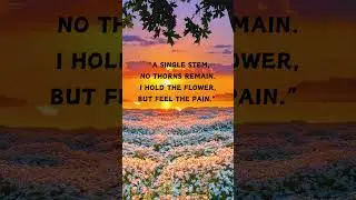 PainfulVerses#SadLoveStories#EmotionalOutpouring#DyingLove#LostInTranslation