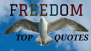 FREEDOM QUOTES Top 40