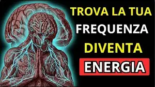 La Vera Realtà che Nessuno Ti Insegna: Il Codice Quantico Svelato