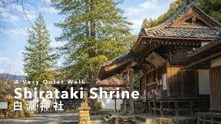 A Very Quiet Walk to Shirataki Shrine | 白瀧神社 | Kiryu (4K UHD)
