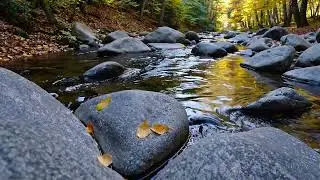 Relaxing Water Sounds & Music for Stress Relief | Calm Mind & Deep Sleep