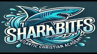 SHARKBITES 9/15